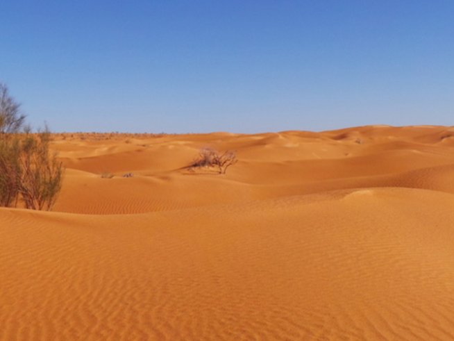 Снимка: freeimages