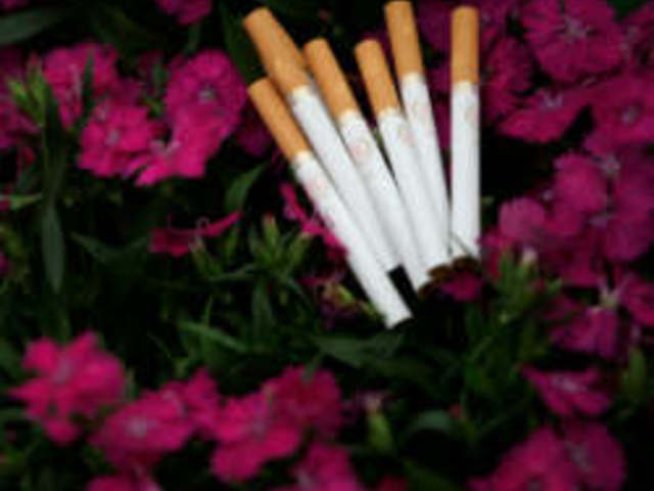 Отворено писмо в подкрепа на забраната за тютюнопушене