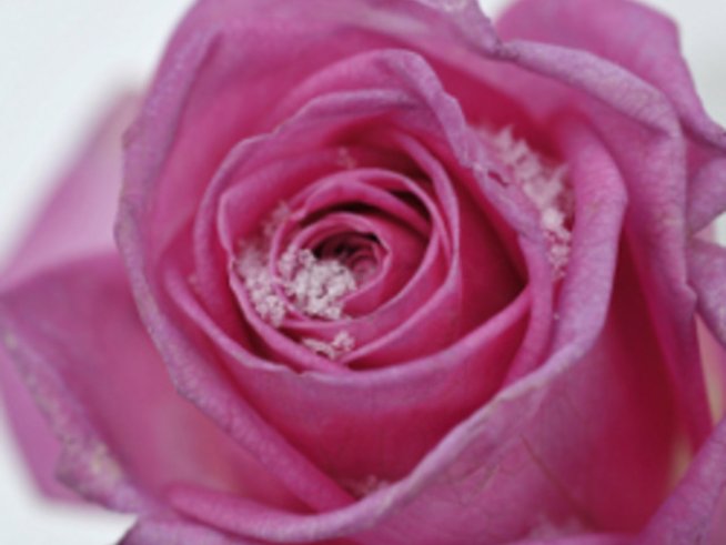 Намерете мъжа на живота си чрез фъншуй