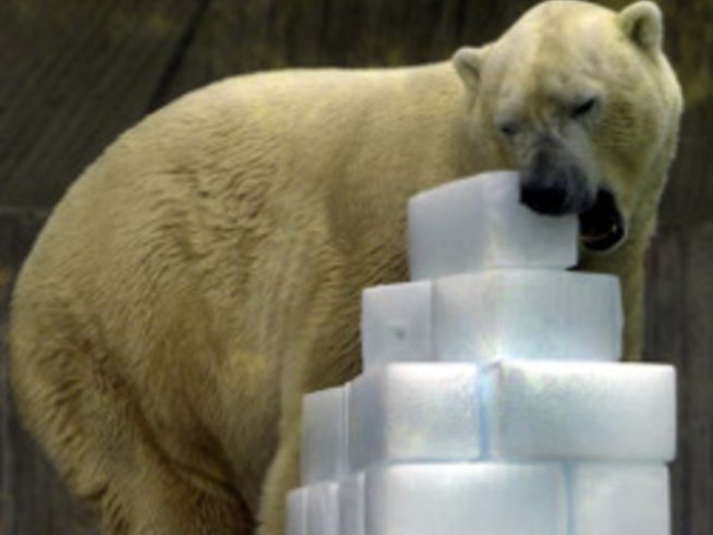 Весели ледени кубчета за парти