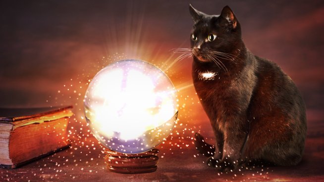 Снимка: iStock