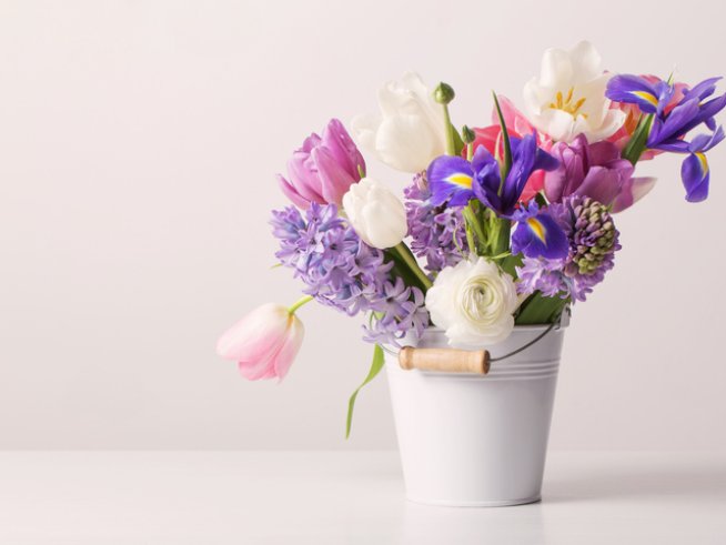 Снимка: istock