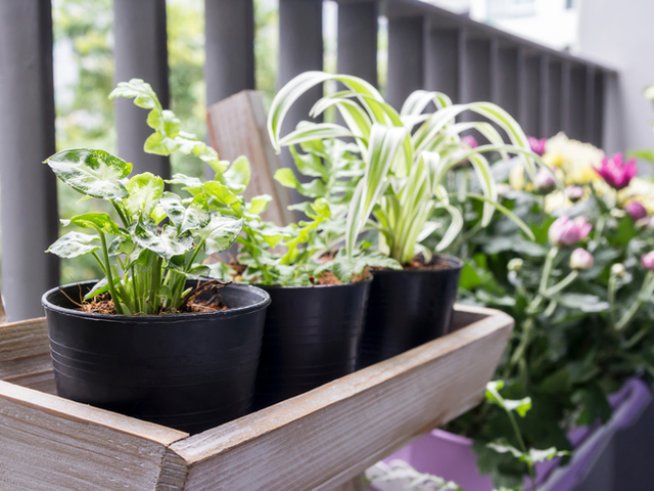 Снимка: istock