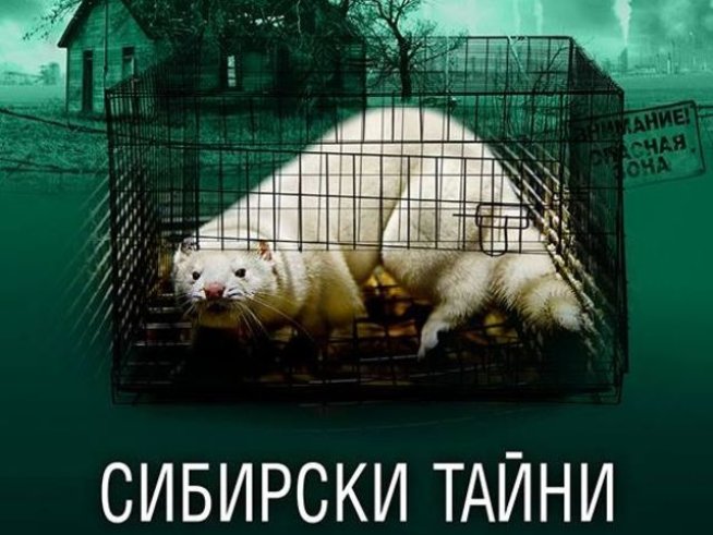 Корица: Хермес