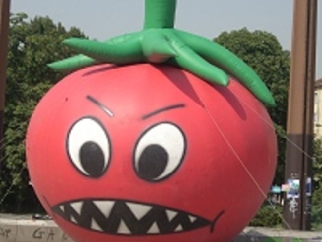 Домат мутант алармира за рисковете от ГМО