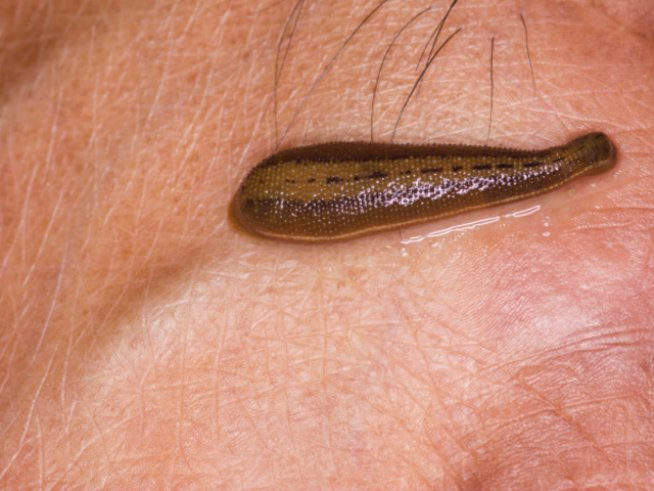 Снимка: Thinkstock