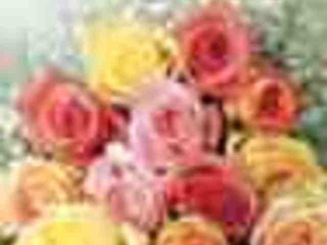 Това е новата жена