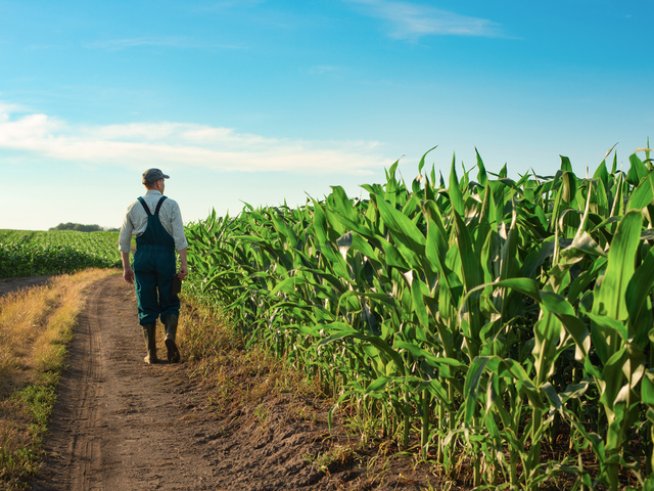 Снимка: istock