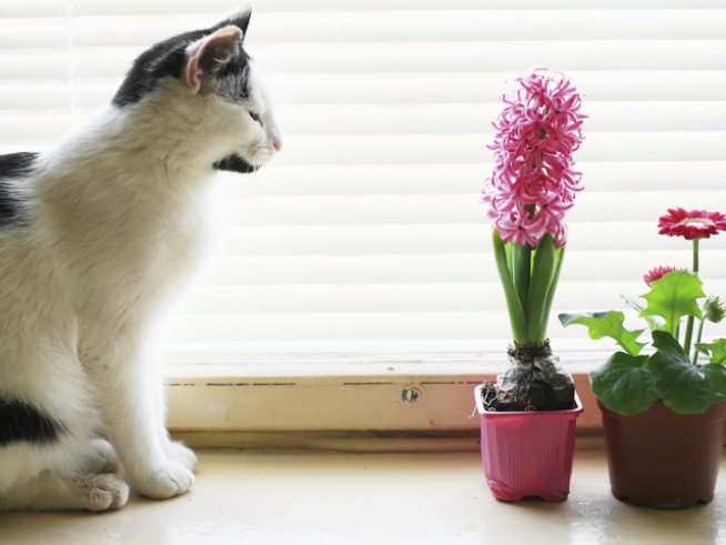 Снимка: istock