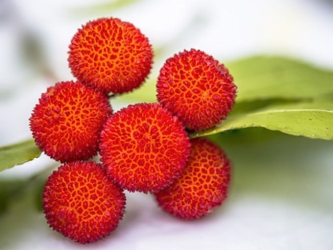 Снимка: maxpixel