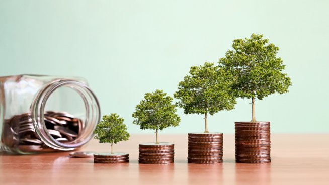 Снимка: iStock