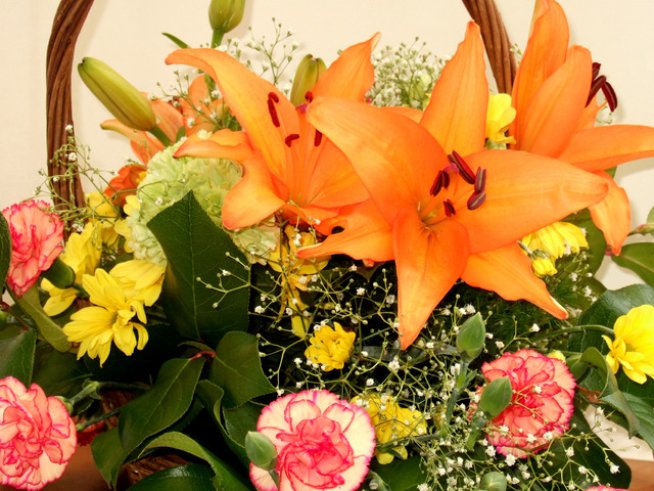 Снимка: Sxc.hu