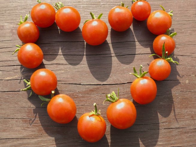 Снимки: Sxc.hu