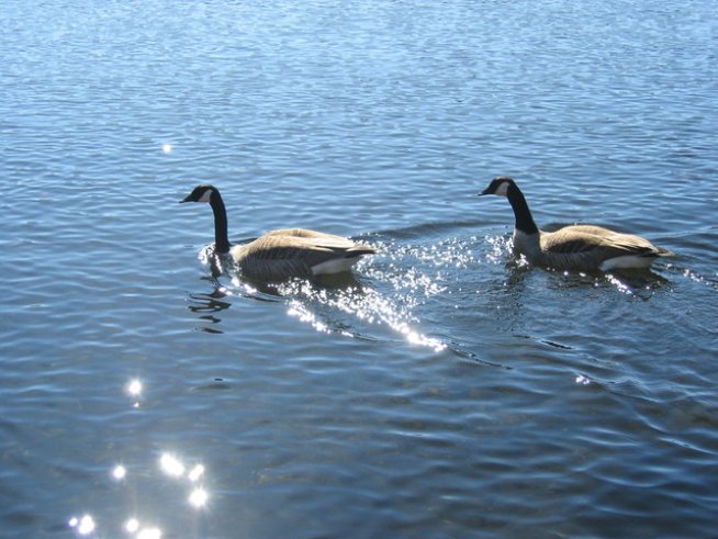 Снимка: Sxc.hu