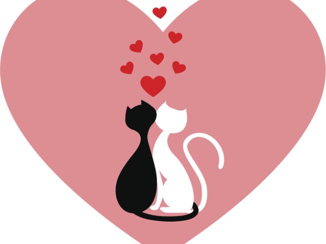 Снимка: thinkstock