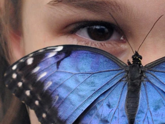 Вслушваме ли се в мечтите на децата си?