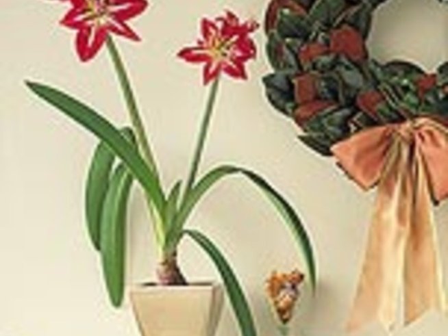 Честит имен ден на Галя и Галина!