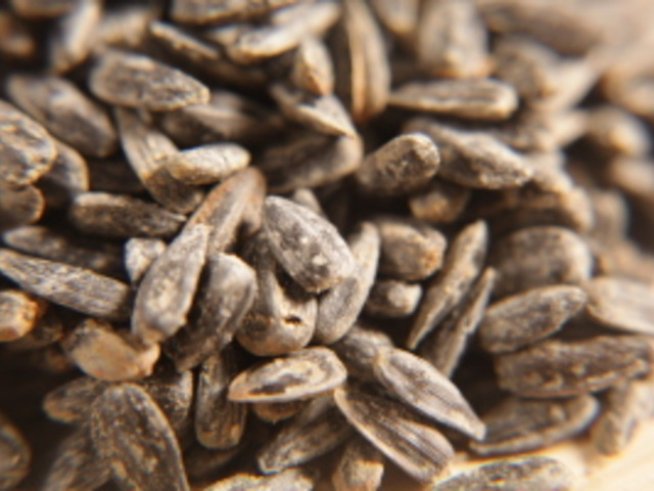 Яжте слънчогледови семки срещу високо кръвно налягане