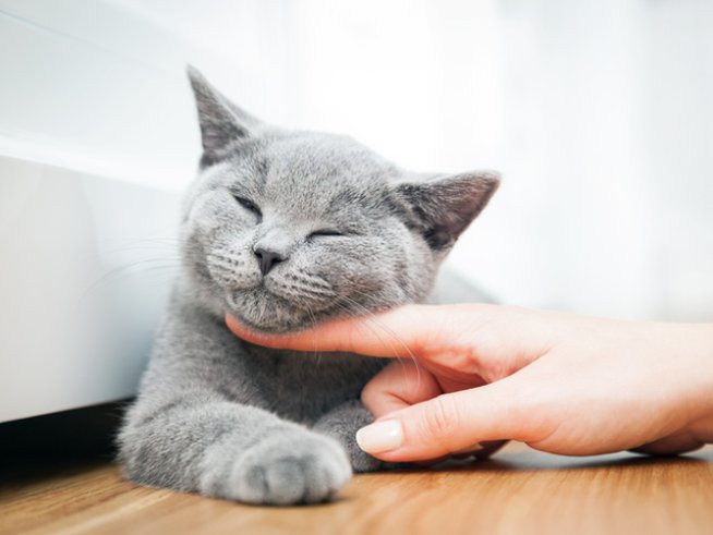 Снимка: istock