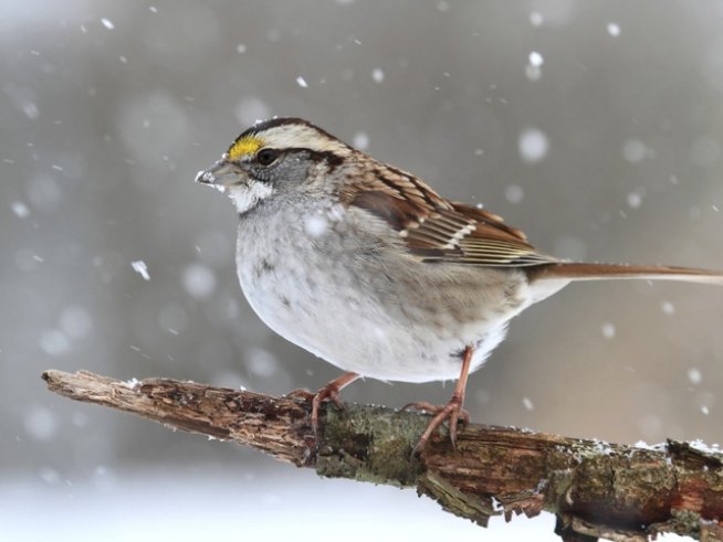 Снимка: thinkstock