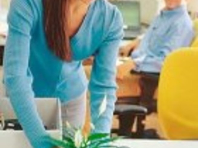 Кой се грижи за цветята в офиса?