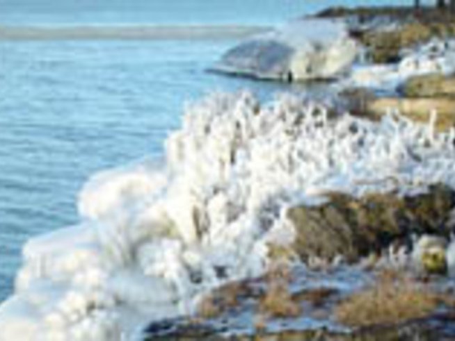 Жена достигна Северния полюс