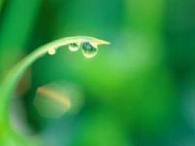 Водородът – горивото на бъдещето