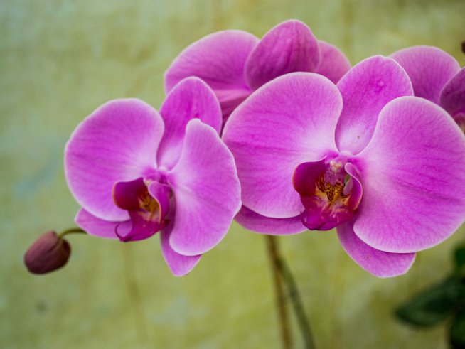 Снимка: Sxc.hu