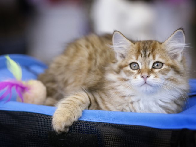 Снимка: istock