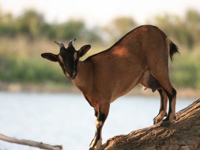 Снимка: Sxc.hu