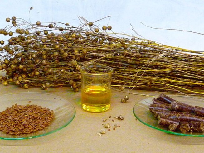 Снимка: Wikimedia Commons