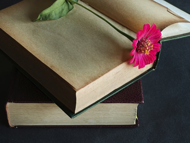 Снимка: thinkstock