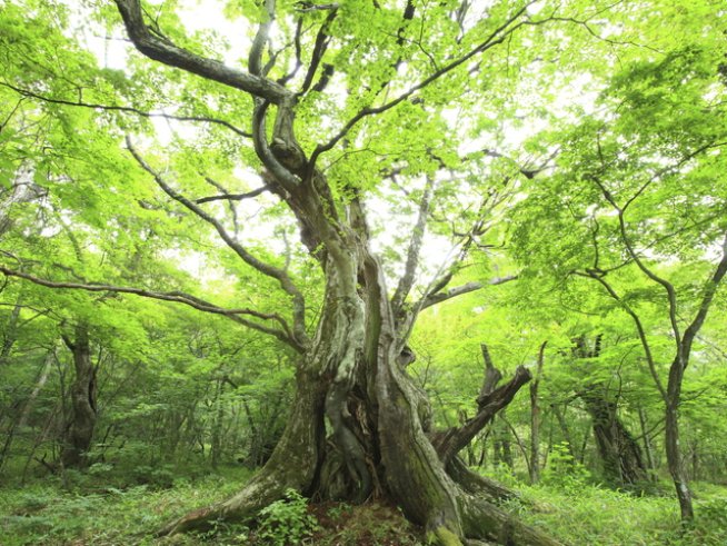 Снимка: Thinkstock