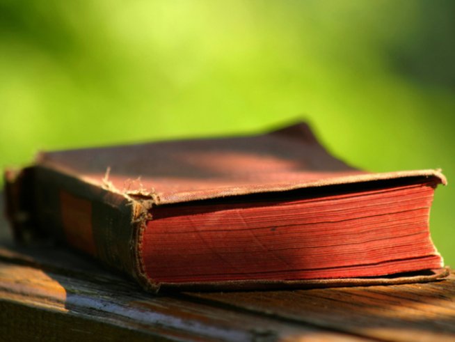 Снимка: freeimages.com