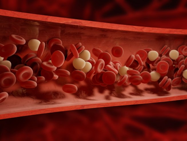 Снимка: istock