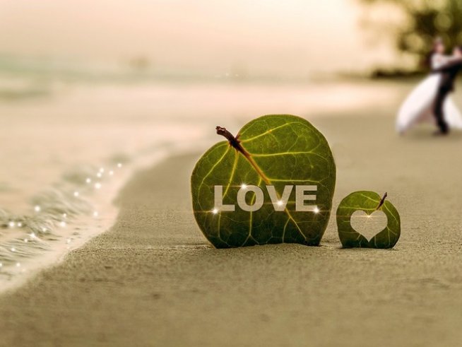 Снимка: pixabay