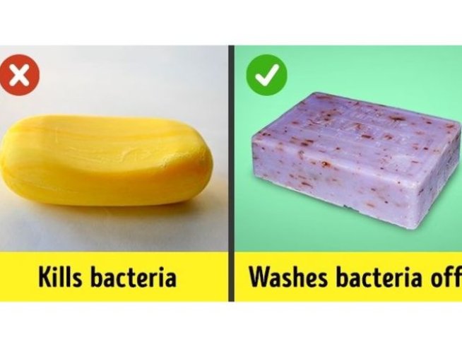 Снимка: brightside; pixabay; maxpixel