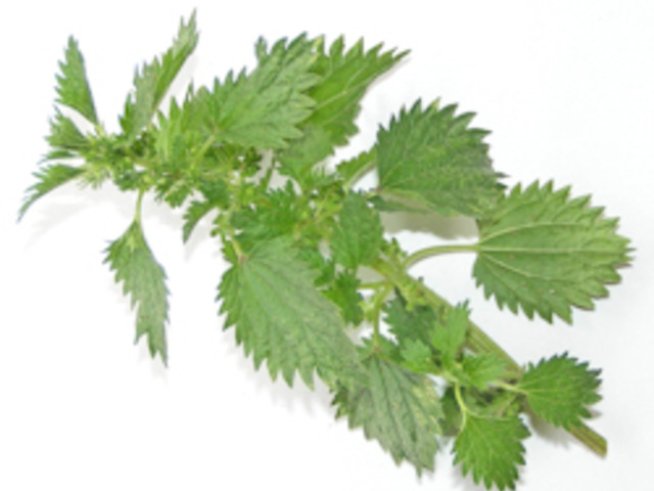 Витамин C в зеленините