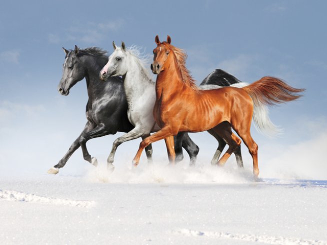 Снимка: istock