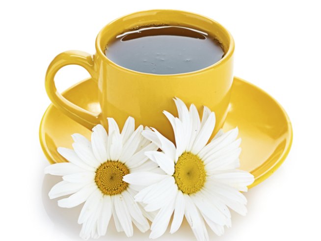 Снимка: thinkstock