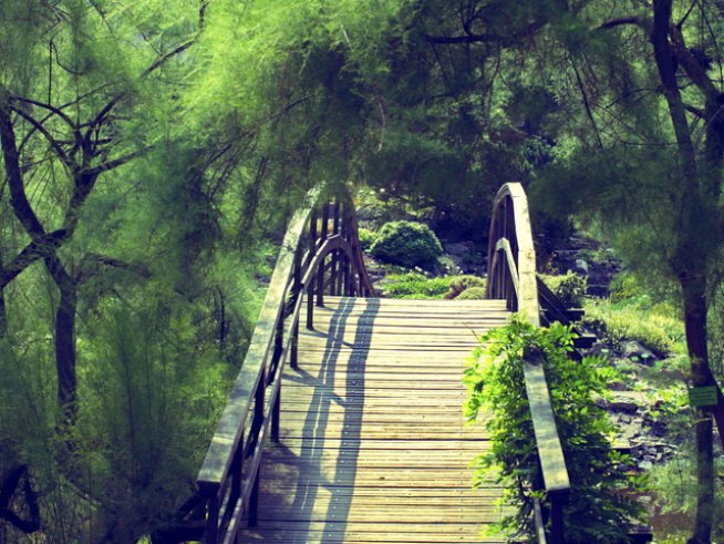 Снимка: thinkstock