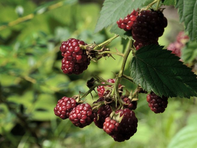 Снимка: Sxc.hu