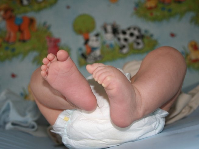 Снимка: Sxc.hu