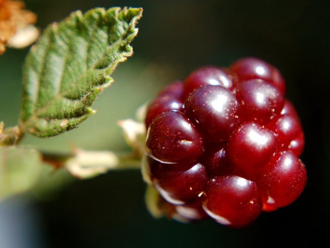 Снимка: Sxc.hu