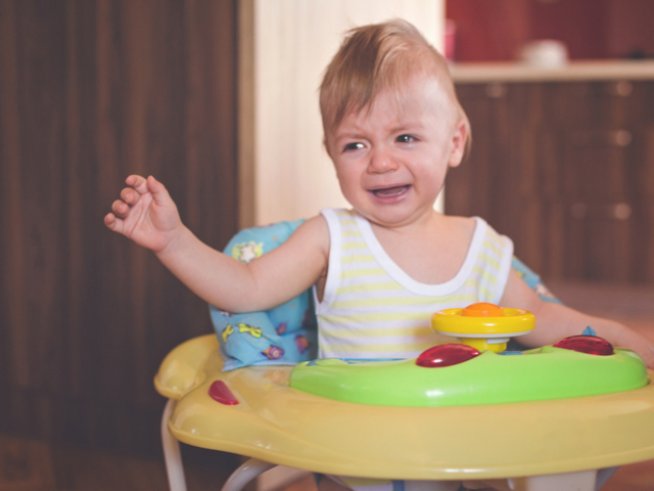 Снимка: istock