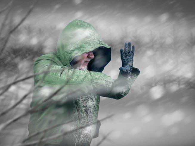 Снимка: istock