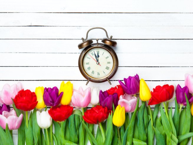 Снимка: istock