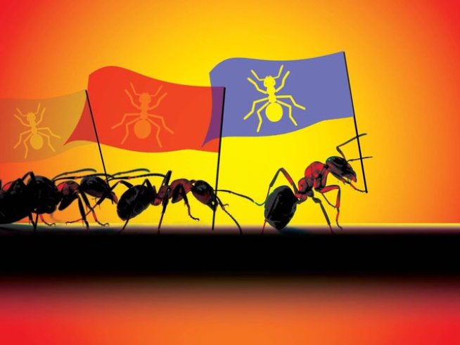 Снимка: Издателство "Колибри"