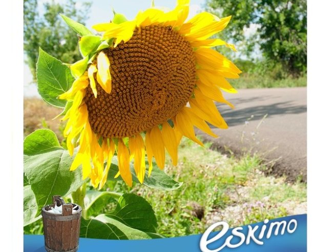 Още малко лято, моля!