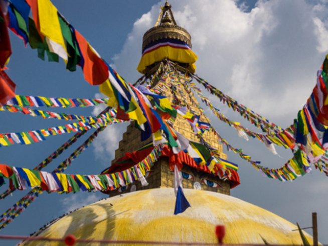 Снимки: Istock


